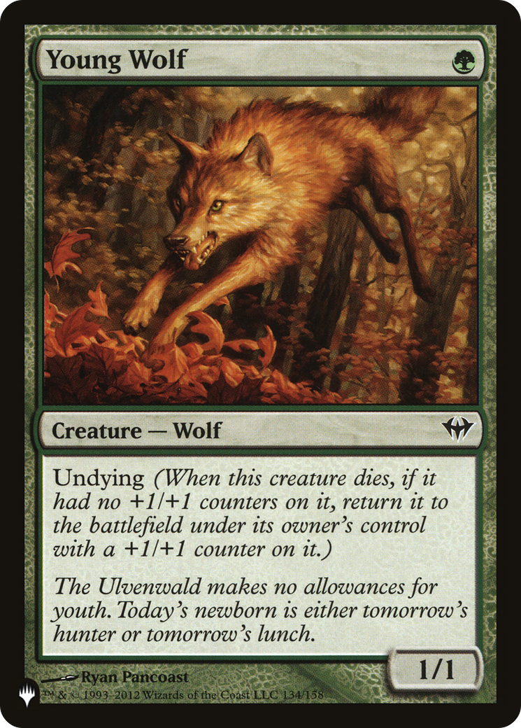 Young Wolf [The List] | The CG Realm