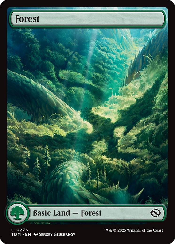 Forest (0276) [Tarkir: Dragonstorm] | The CG Realm