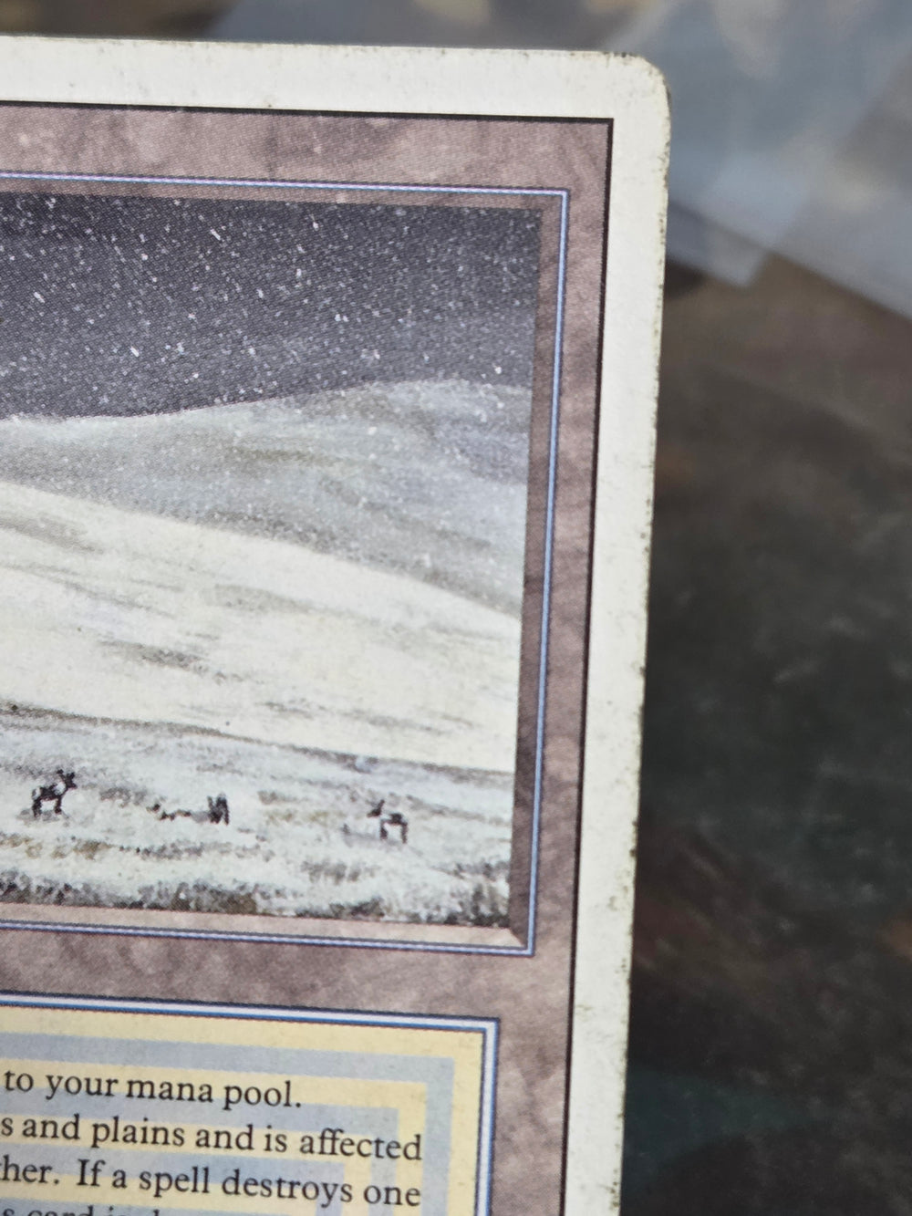 Tundra (3ED-) - Revised Edition (A)