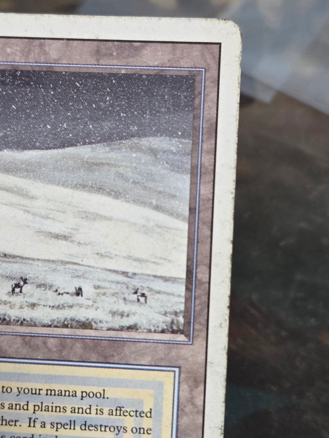 Tundra (3ED-) - Revised Edition (A)