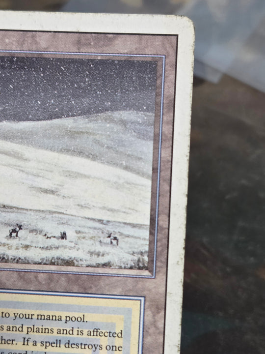 Tundra (3ED-) - Revised Edition (A)