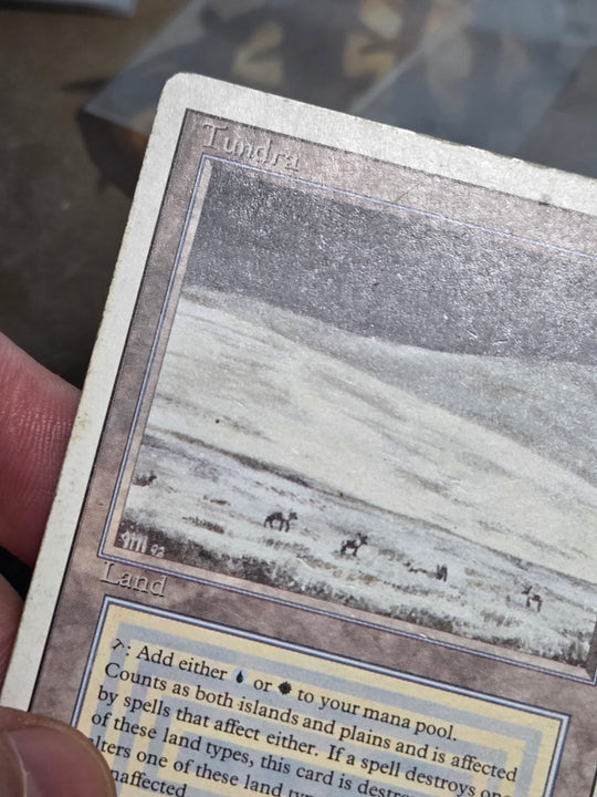 Tundra (3ED-) - Revised Edition (A)