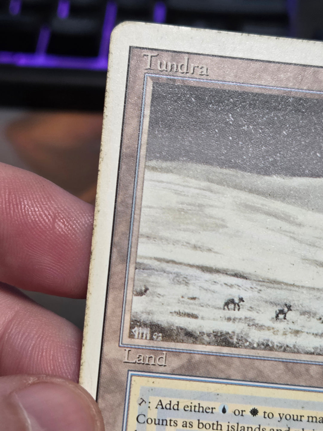 Tundra (3ED-) - Revised Edition (B)