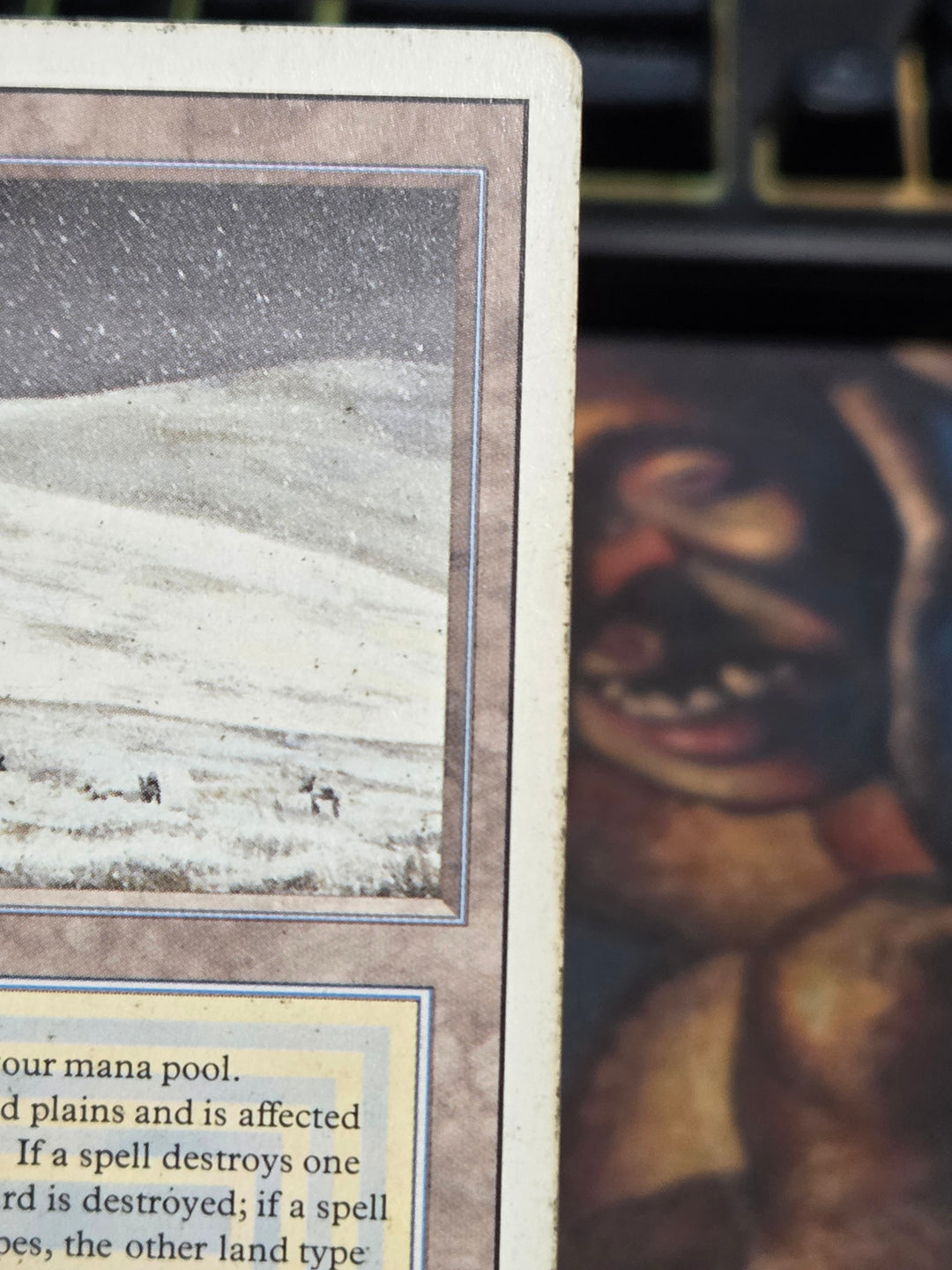 Tundra (3ED-) - Revised Edition (B)