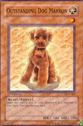 Outstanding Dog Marron (DCR-062) - Dark Crisis Unlimited