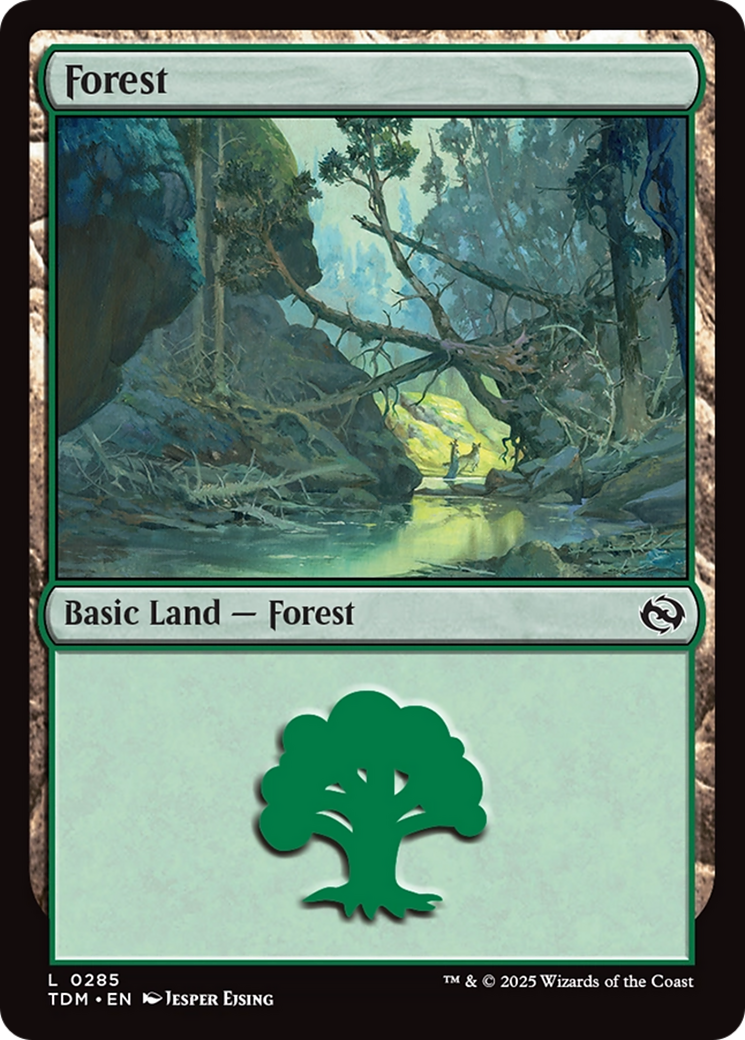 Forest (0285) [Tarkir: Dragonstorm] | The CG Realm