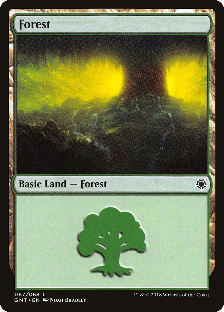 Forest (67) (GNT-067) - Game Night