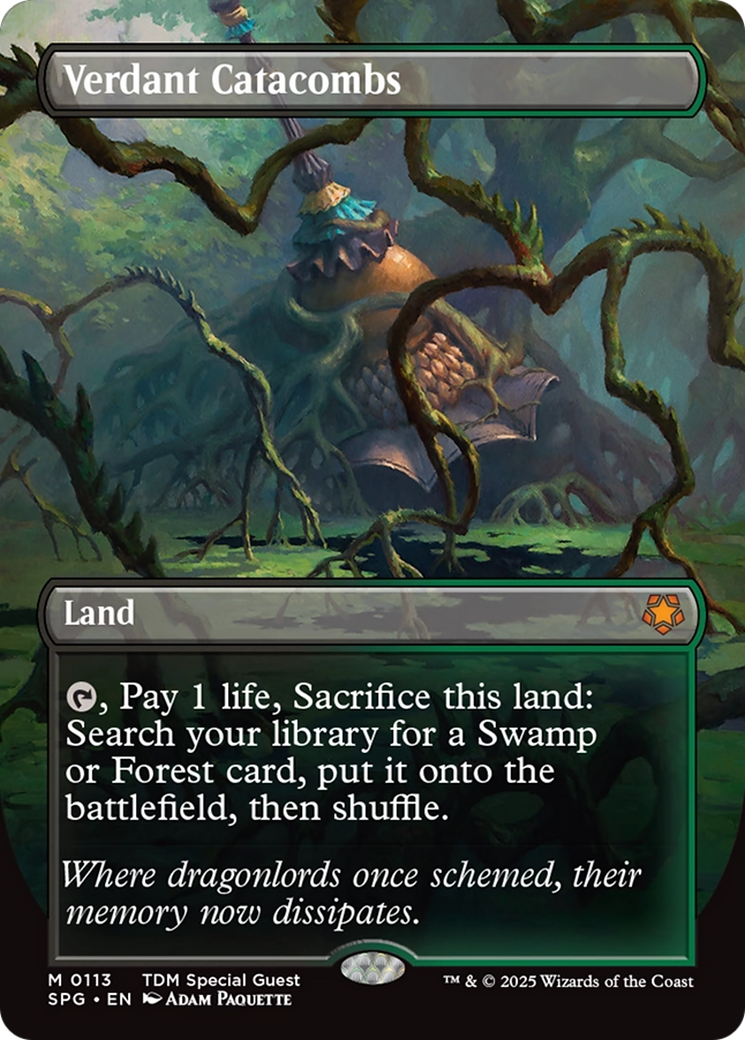 Verdant Catacombs (Borderless) [Tarkir: Dragonstorm Special Guests] | The CG Realm