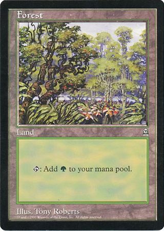 Forest (Oversized) [Oversize Cards] | The CG Realm