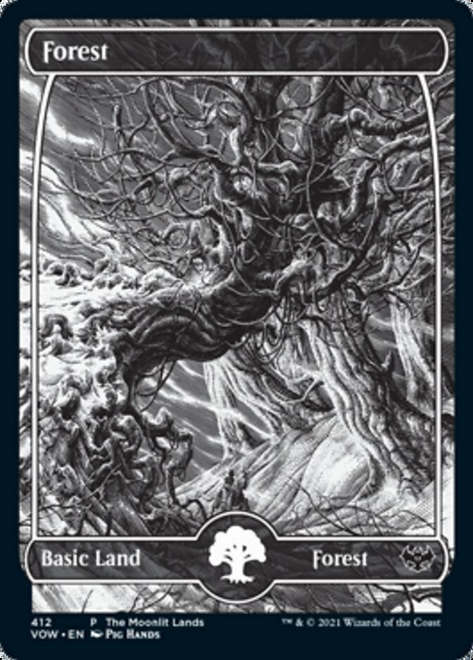 Forest (The Moonlit Lands) (Foil Etched) [Innistrad: Crimson Vow Promos] | The CG Realm