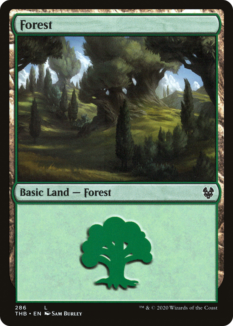 Forest (286) (THB-286) - Theros Beyond Death