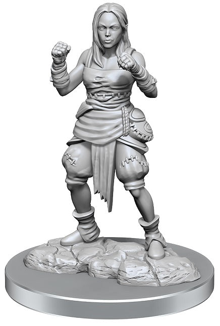 PF UNPAINTED MINIS WV21 HALF-ELF MONK FEMALES | The CG Realm