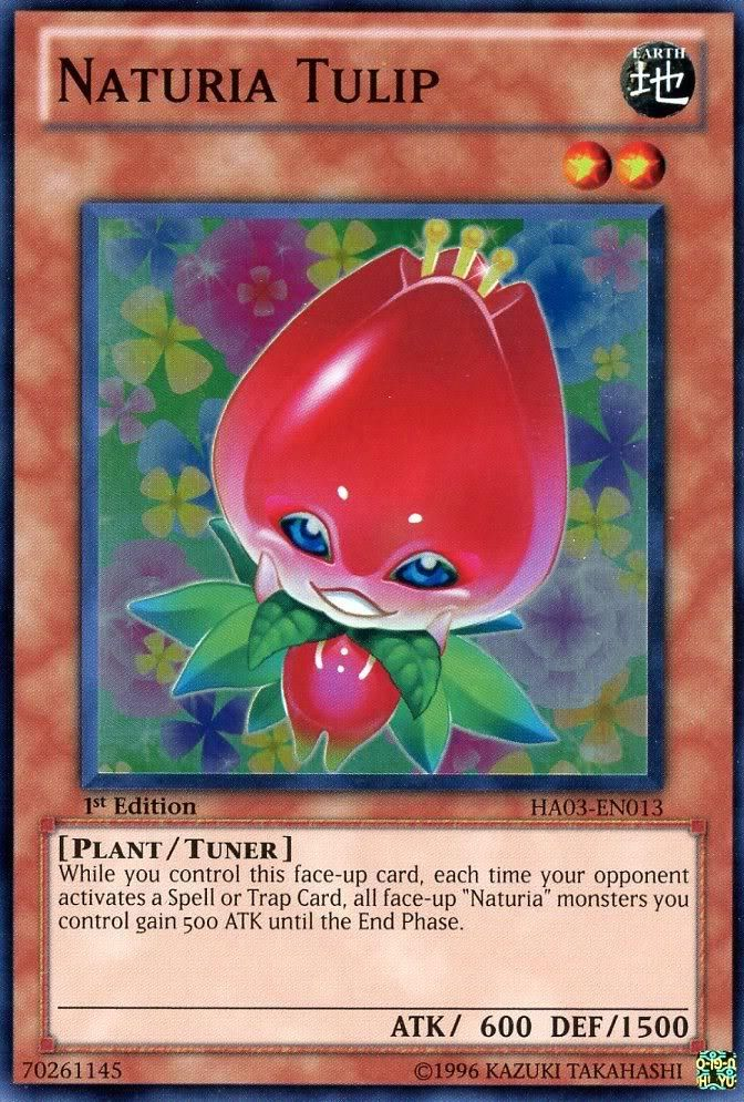 Naturia Tulip [HA03-EN013] Super Rare | The CG Realm