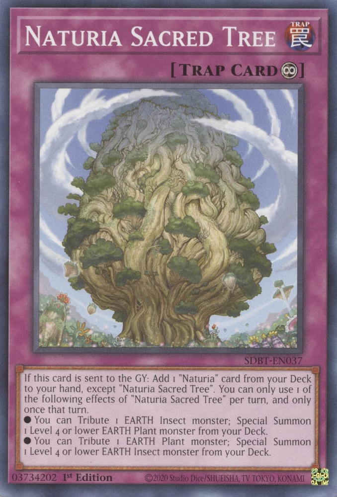 Naturia Sacred Tree [SDBT-EN037] Common | The CG Realm