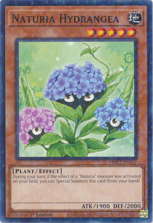 Naturia Hydrangea (Duel Terminal) [HAC1-EN107] Common | The CG Realm