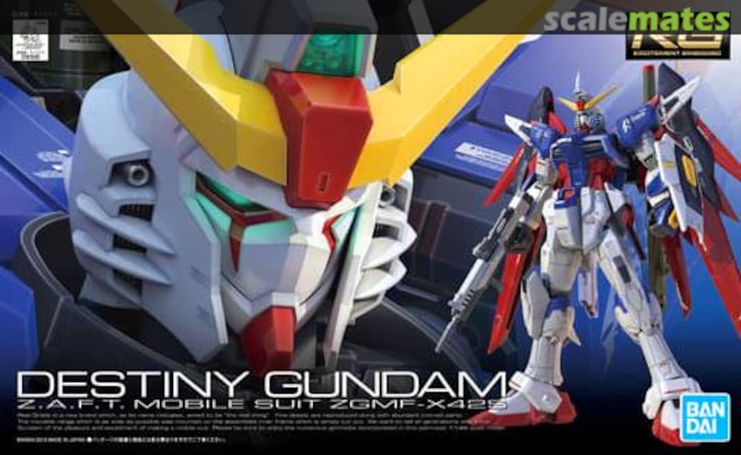 RG 1/144 #11 Destiny Gundam | The CG Realm