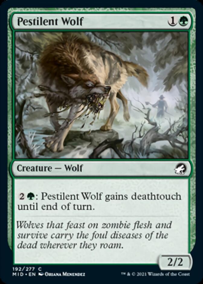 Pestilent Wolf [Innistrad: Midnight Hunt] | The CG Realm