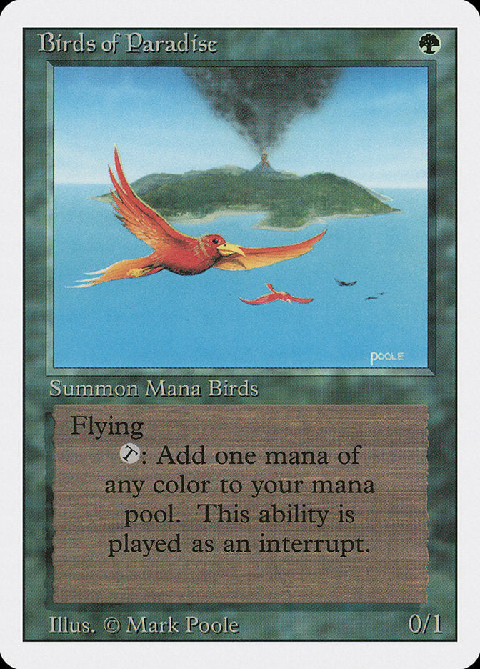 Birds of Paradise [Revised Edition] | The CG Realm