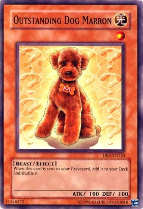 Outstanding Dog Marron [DR1-EN224] Common | The CG Realm