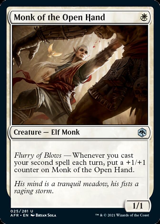 Monk of the Open Hand [Dungeons & Dragons: Adventures in the Forgotten Realms] | The CG Realm