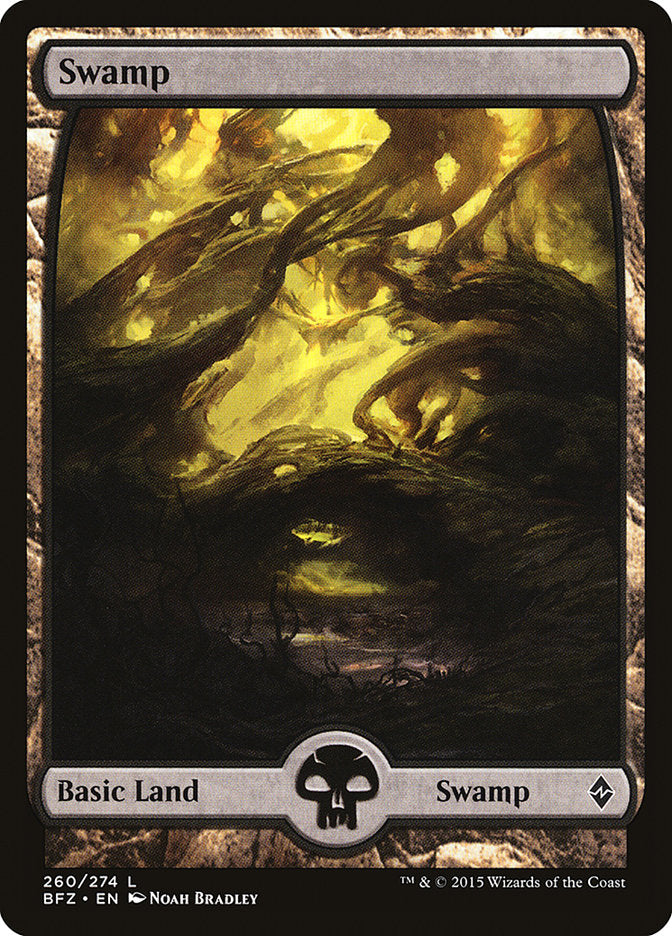 Swamp (260) (Full Art) [Battle for Zendikar] | The CG Realm