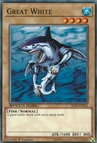 Great White [SBAD-EN021]