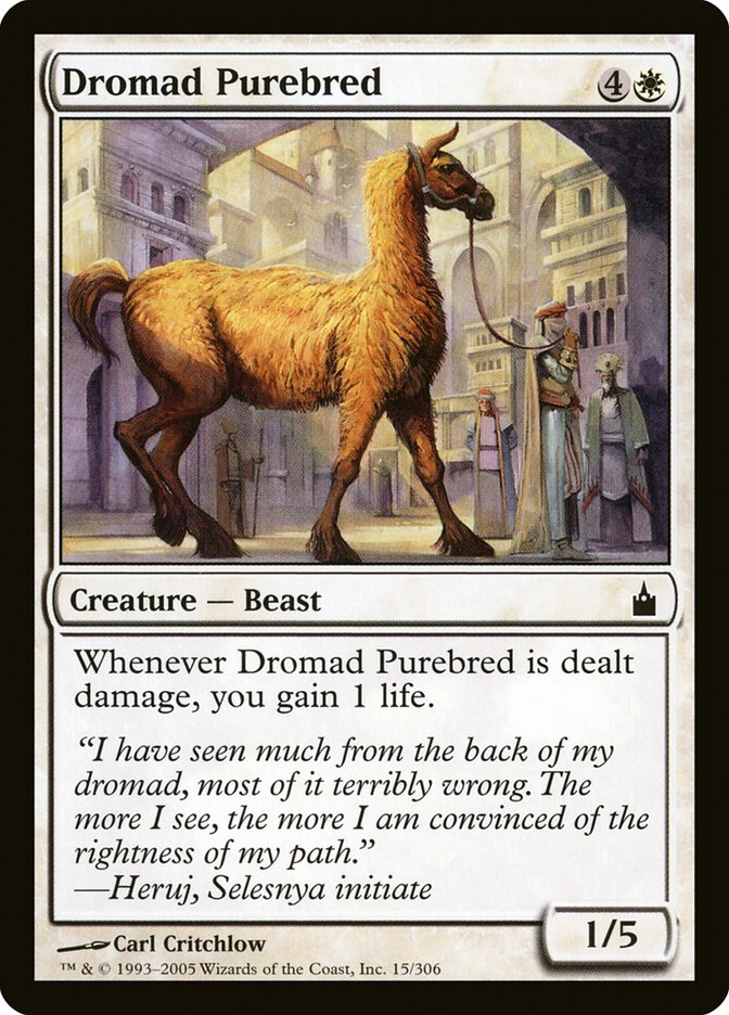 Dromad Purebred [Ravnica: City of Guilds] | The CG Realm