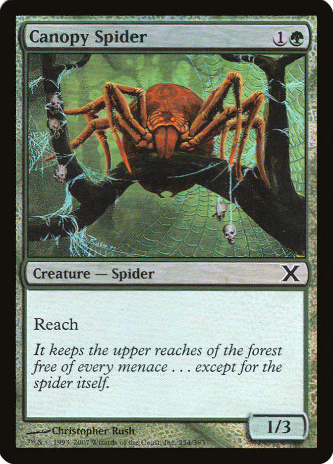 Canopy Spider (Premium Foil) [Tenth Edition] | The CG Realm