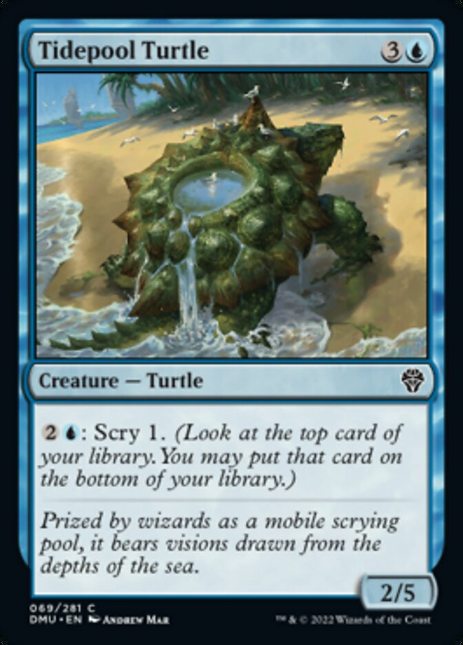 Tidepool Turtle [Dominaria United] | The CG Realm