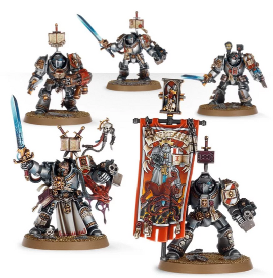 Grey Knights Paladins