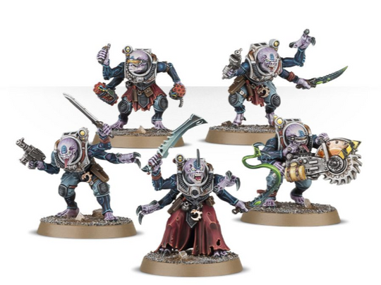 Acolyte Hybrids