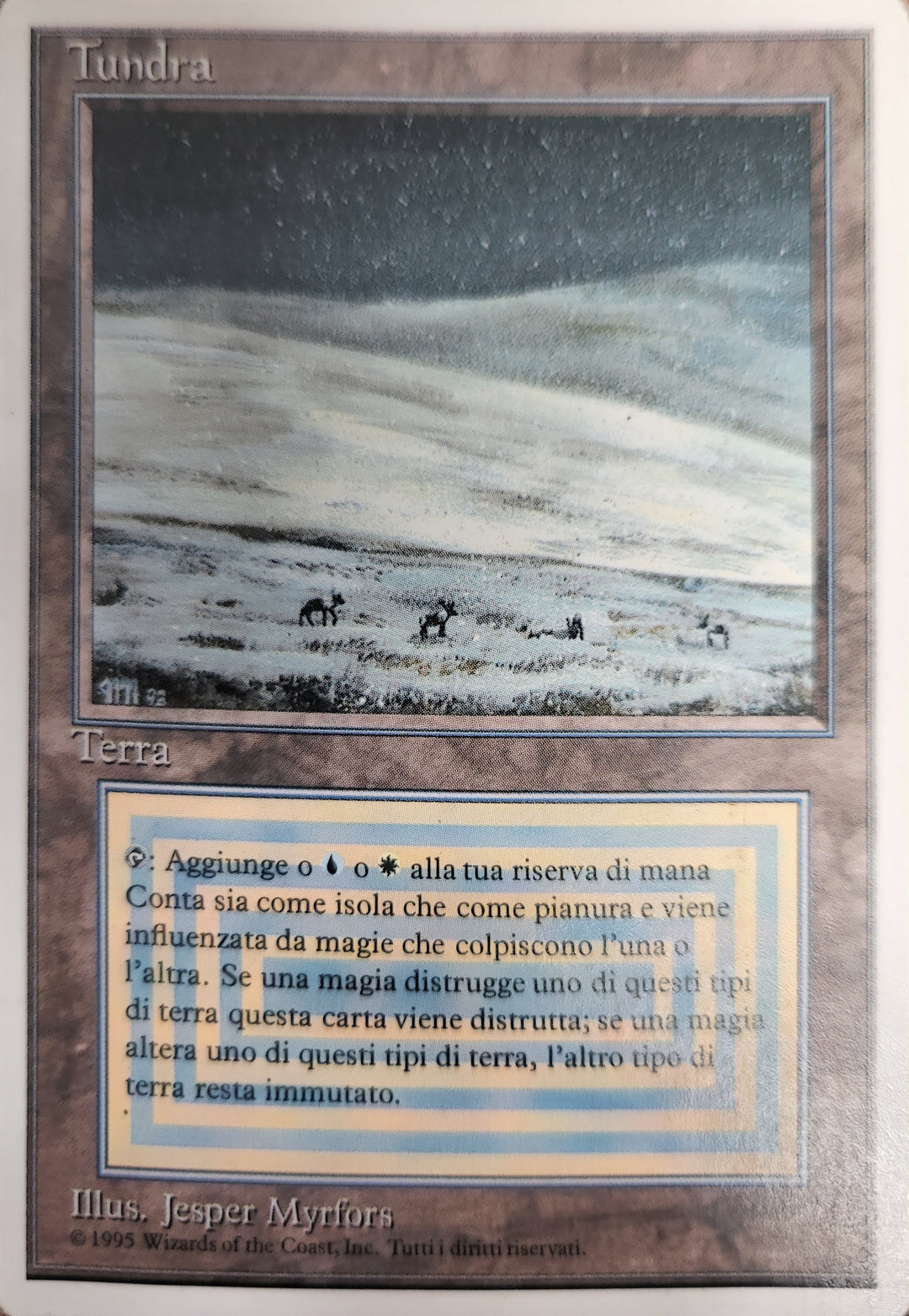 Tundra [Revised Edition (Foreign White Border)] Italian