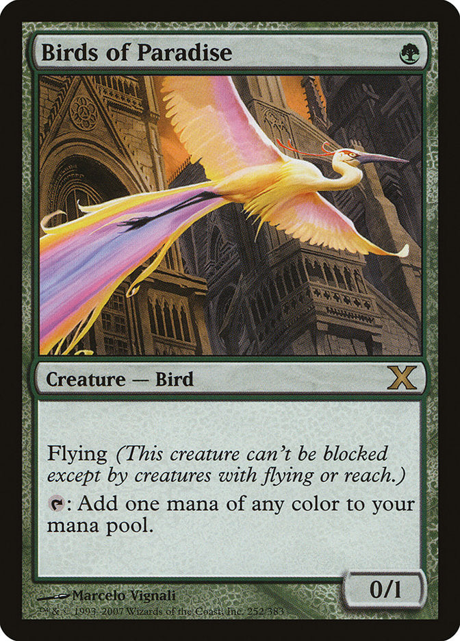 Birds of Paradise [Tenth Edition] | The CG Realm