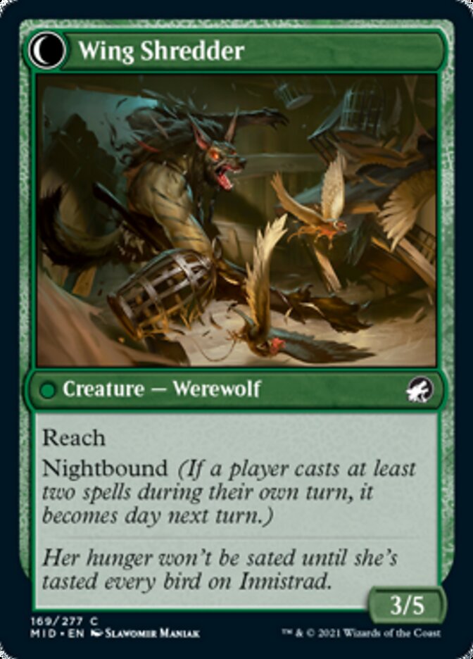 Bird Admirer (MID-169) - Innistrad: Midnight Hunt: (Double Faced Transform)
