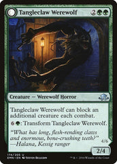 Tangleclaw Werewolf // Fibrous Entangler [Eldritch Moon] | The CG Realm