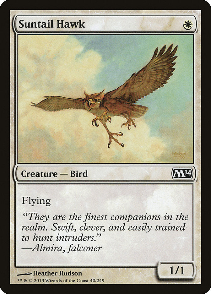 Suntail Hawk [Magic 2014] | The CG Realm