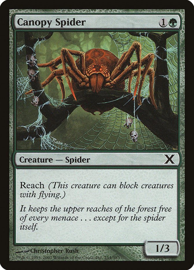 Canopy Spider [Tenth Edition] | The CG Realm