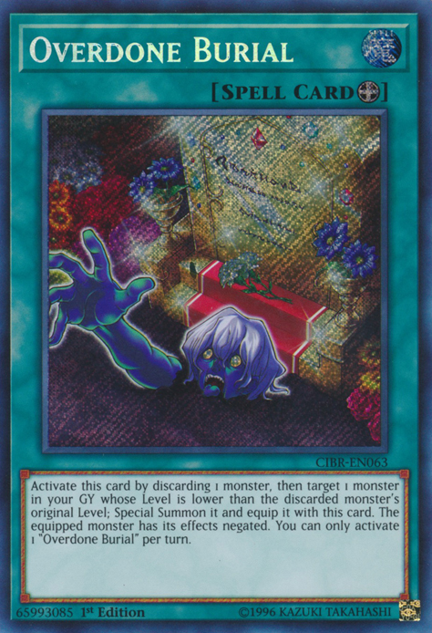 Overdone Burial [CIBR-EN063] Secret Rare | The CG Realm