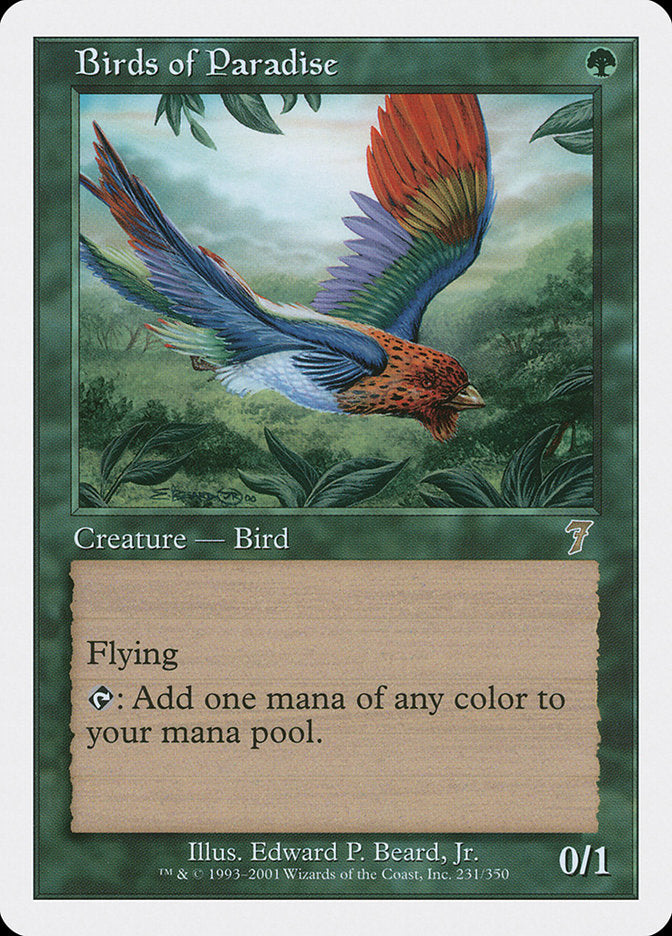 Birds of Paradise [Seventh Edition] | The CG Realm