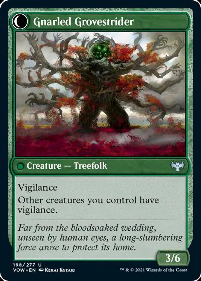 Dormant Grove // Gnarled Grovestrider [Innistrad: Crimson Vow] | The CG Realm