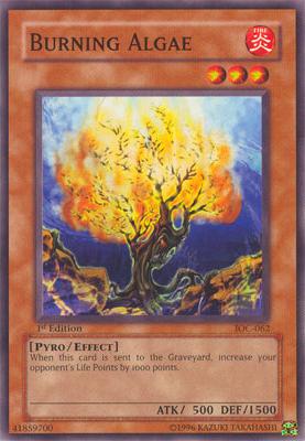 Burning Algae [IOC-062] Common | The CG Realm
