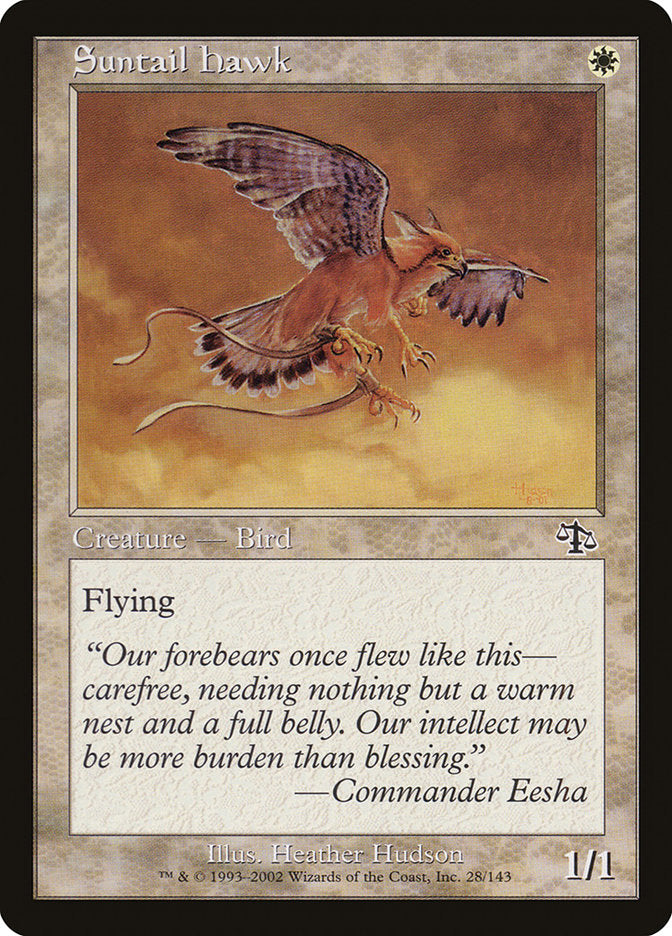 Suntail Hawk [Judgment] | The CG Realm