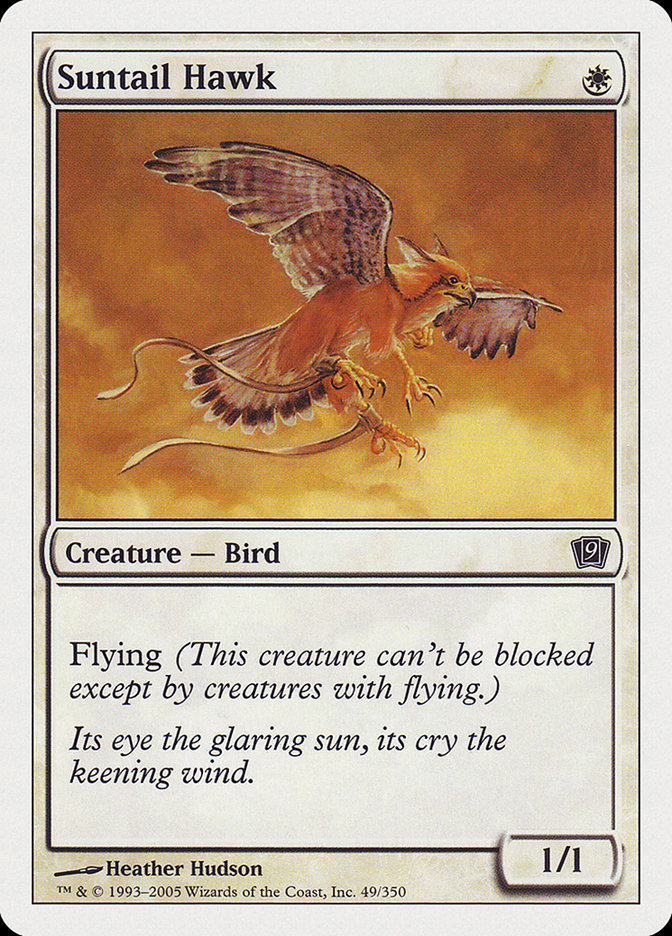 Suntail Hawk [Ninth Edition] | The CG Realm