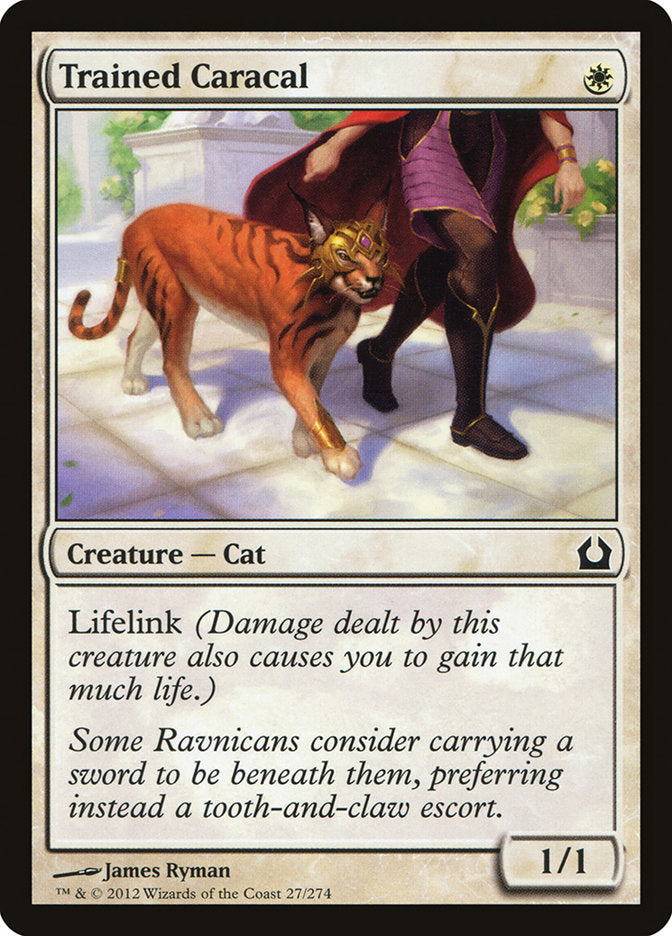 Trained Caracal [Return to Ravnica] | The CG Realm