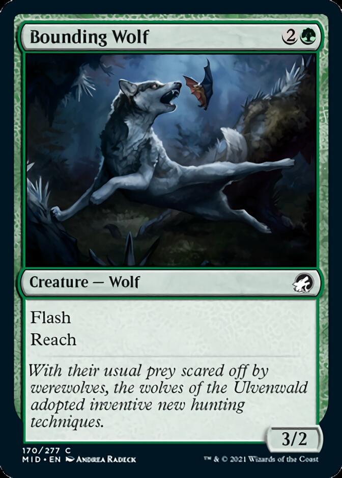 Bounding Wolf [Innistrad: Midnight Hunt] | The CG Realm