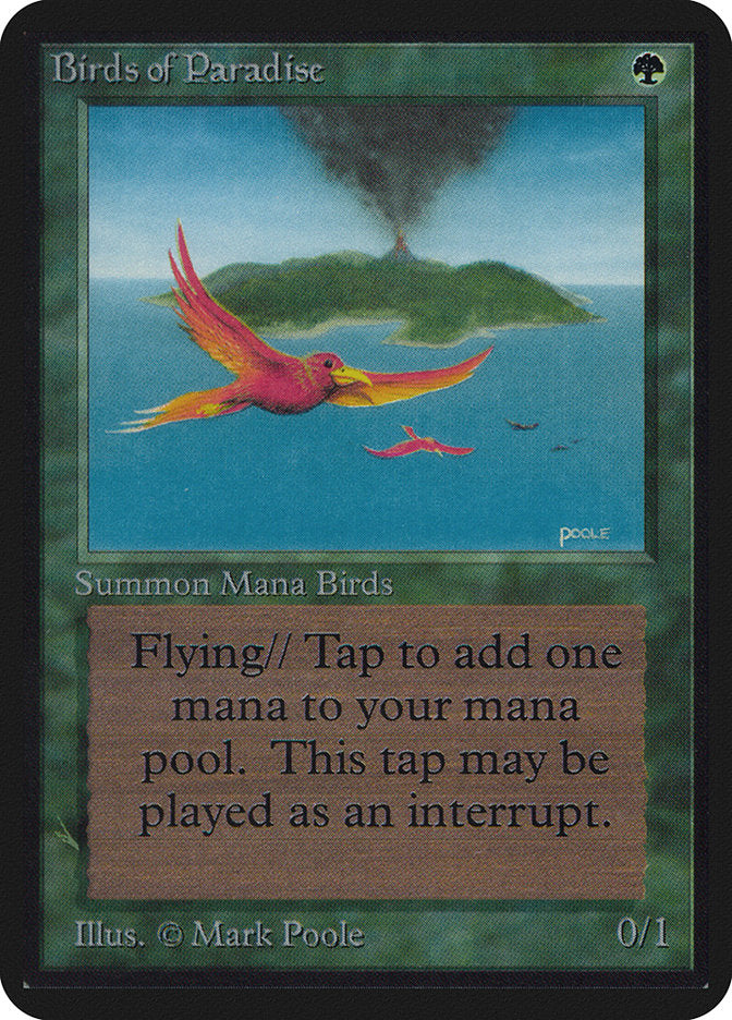Birds of Paradise [Alpha Edition] | The CG Realm