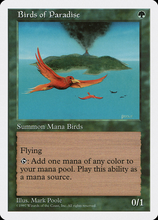 Birds of Paradise [Fifth Edition] | The CG Realm