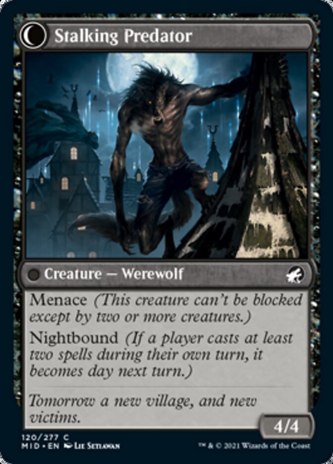 Shady Traveler (MID-120) - Innistrad: Midnight Hunt: (Double Faced Transform)