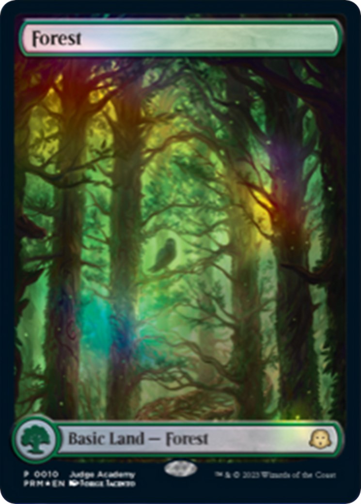 Forest [Judge Gift Cards 2023] | The CG Realm