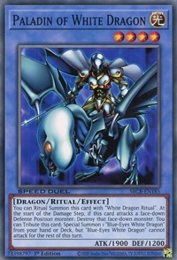 Paladin of White Dragon [SBCB-EN185] Common | The CG Realm